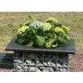 Planter